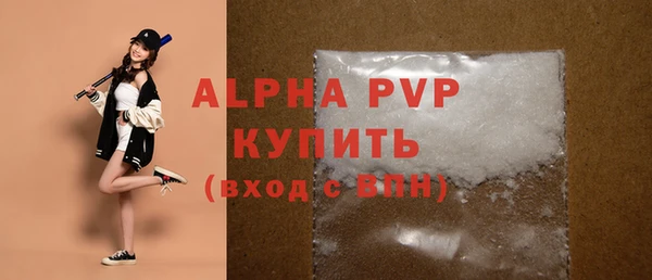 spice Богородск