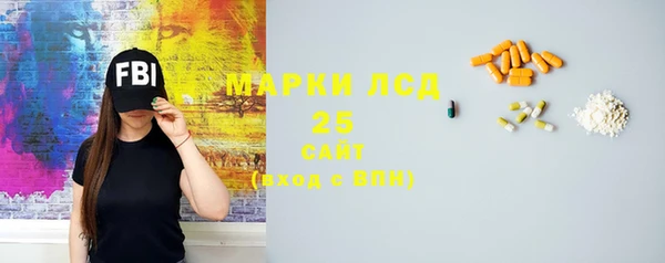 spice Богородск