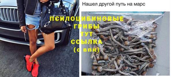 spice Богородск