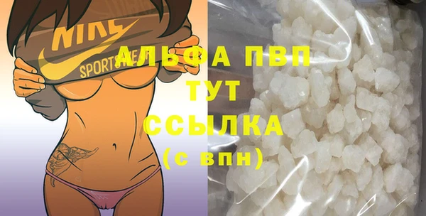 spice Богородск