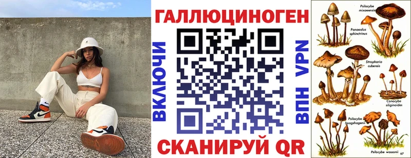 Галлюциногенные грибы Psilocybe  Новохопёрск 