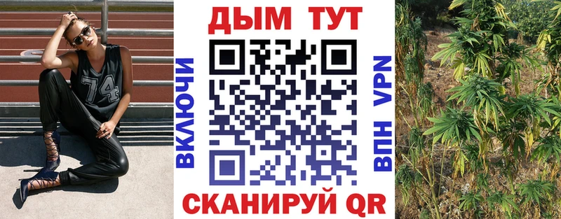 Шишки марихуана White Widow  гидра ССЫЛКА  Новохопёрск 